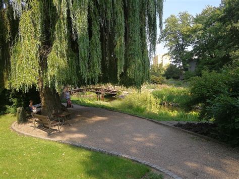 Zdjęcie Ogród Botaniczny we Wrocławiu