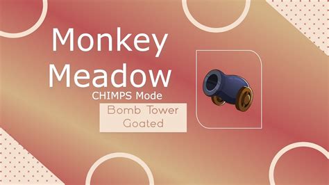 Monkey Meadow Chimps Youtube