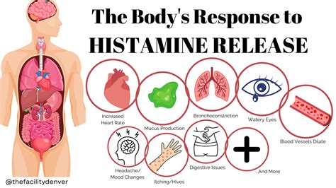 Histamine Intolerance A Dietary Overview Kate Daugherty