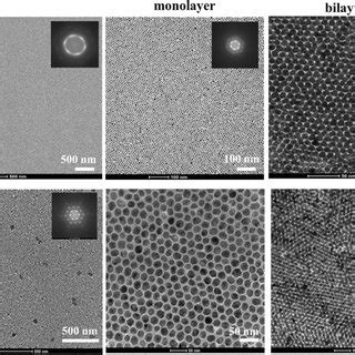 A TEM Images Of Au A And Ag B Nanoparticle Self Assemblies At