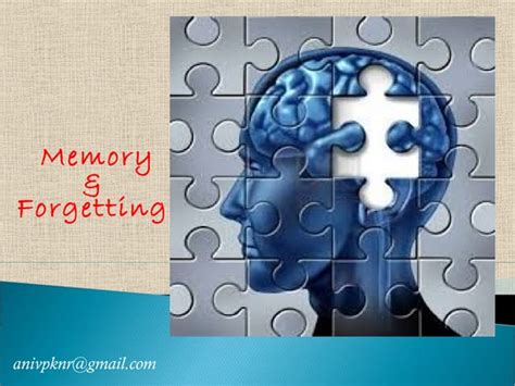 Memory And Forgetting Ppt