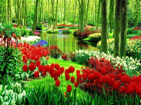 Cool Spring Backgrounds (56+ pictures) - WallpaperSet