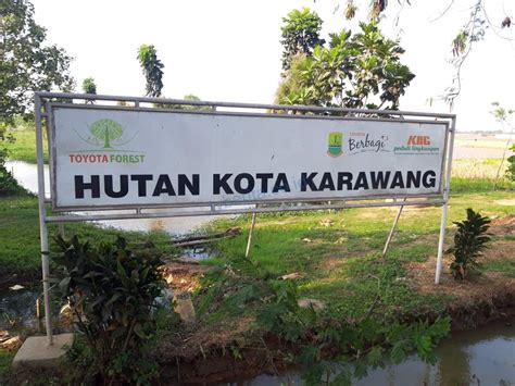 Hutan Kota Karawang yang Diresmikan Bupati Cellica Kini Terbengkalai - tvberita.co.id