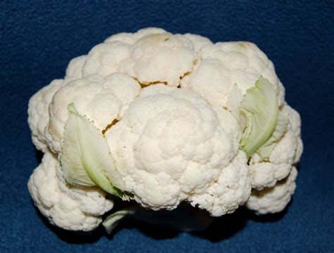 Small Cauliflower Exploring Macro Photography Fruit Veg Pam Flickr