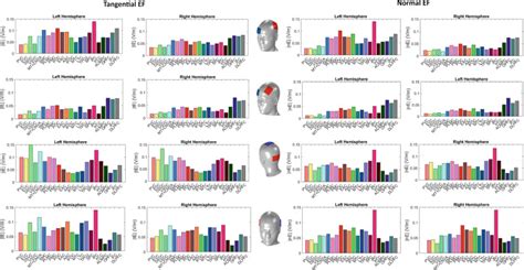 Fig 8 Mean Tangential And Normal EF Brain And Human Body