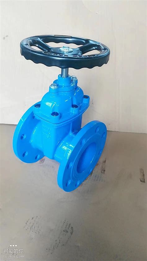 Water Valve Resilient Seat Soft Seal Flange Water Control Gate Valve