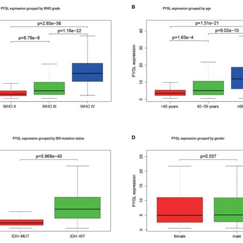 Roc Curves Of Pygl Expression In Predicting 1 3 And 5 Year Survival