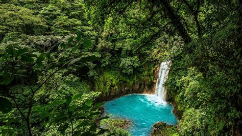 Janvier Conf Rence Le Costa Rica Paradis De La Biodiversit