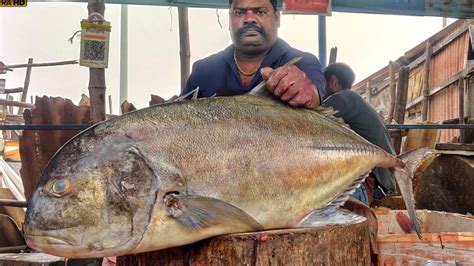 Kasimedu Speed Selvam Giant Travelly Fish Cutting Video K Video