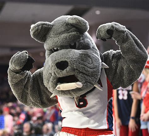 Life of Spike: The Story of Gonzaga's Mascot | Gonzaga University