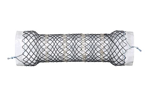 Segmented Stent GEN II MICRO TECH EUROPE