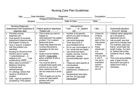 Care Plan Guide Adpie Nursing Care Plan Guidelines Age Date Admitted