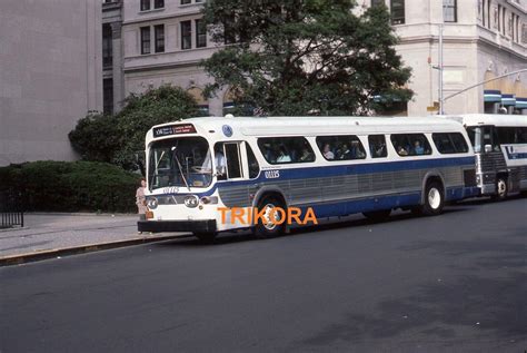 Nycta Mabstoa Mta Gm Gmc New Look Tdh 5310 Bus Photo York Transit General Motors 2019919821