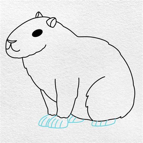 How To Draw A Capybara Helloartsy