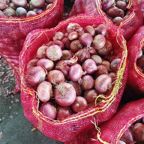 Maharashtra Red Onion A Grade Onion Size Mm At Kg In Bengaluru