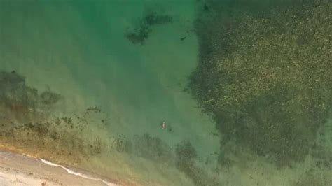 Skinny Blonde Solo Stock Video Footage Royalty Free Skinny Blonde Solo Videos Pond5