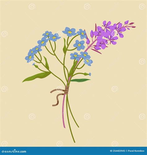 Blooming Sally Or Epilobium Angustifolium Or Fireweed Flower. Antique