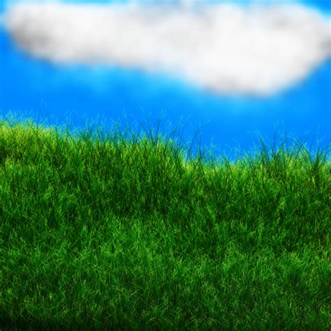 Free Stock Photos Rgbstock Free Stock Images Cloud And Grass