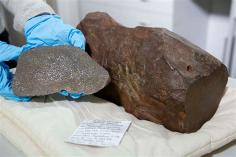 Encontr Una Roca Pens Que Ten A Oro Pero Era Un Meteorito De