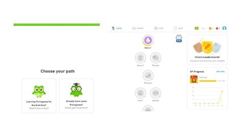 Efficient Duolingo Features A Massive Duolingo Review