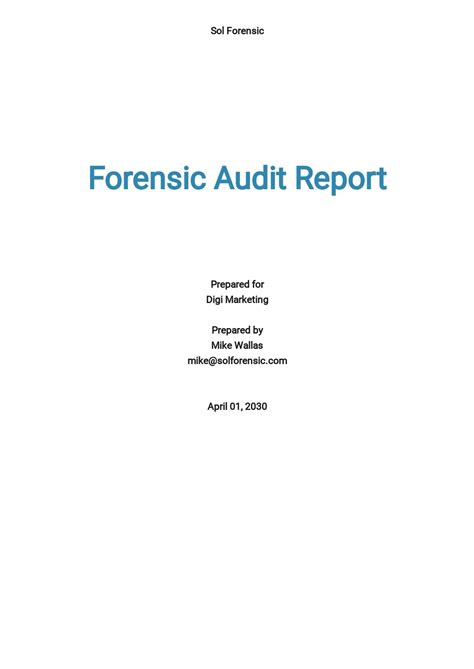 22 Free Audit Report Templates Edit And Download