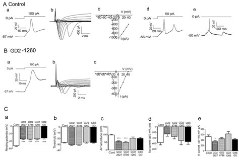 Electrophysiology Of Ipsc Derived Neurons 14 D A Action Potential