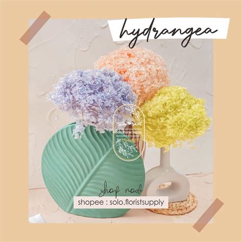 Jual Tangkai Besar Preserved Hydrangea Dried Flower Awetan Bunga