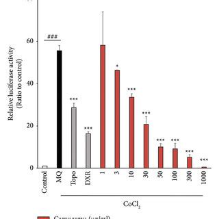 Inhibitory Hypoxia Inducible Factor HIF Activity Effects Of