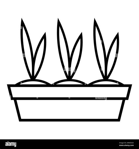 Seedling Grown Stock Vector Images Alamy