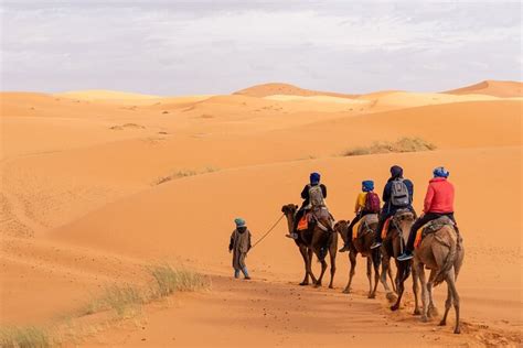 Days Shared Marrakech Desert Tour To Merzouga Camel Trek