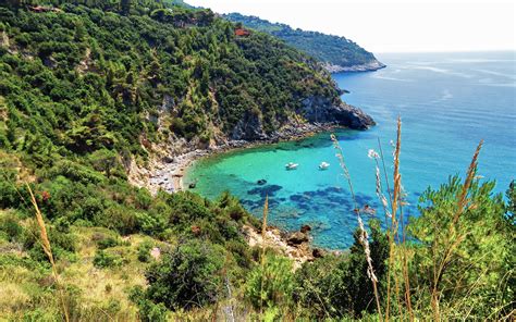 Cala Del Gesso Tuscany Italy World Beach Guide