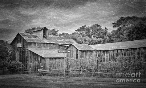 The Winery Photograph By Gary Richards Fine Art America