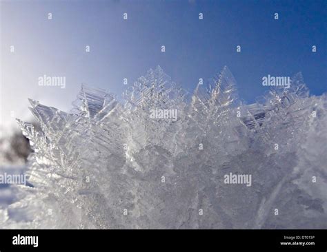 Hoar Frost Crystals Stock Photo Royalty Free Image 66383794 Alamy