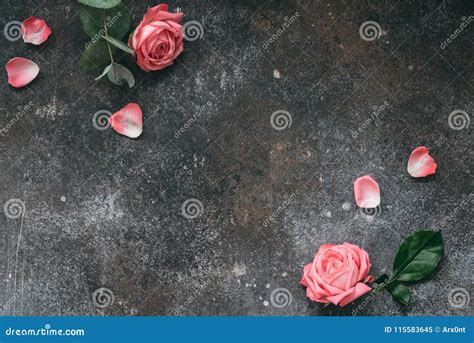 Rusty Vintage Background With Pink Roses Stock Image Image Of Plant