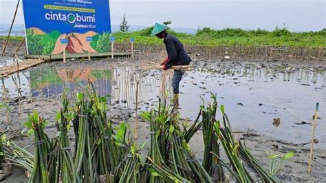 Cegah Abarasi Setiap 10 Kardus Hasil Belanja Online Ditukar Dengan 1