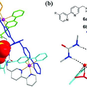 (a) Crystal structure of the tetrahedral cage formed by 6a and NiSO 4 ...