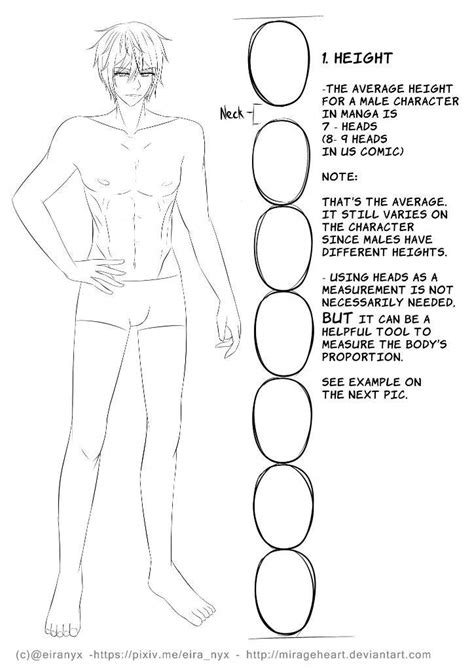 Male Anatomy Anime Male Anatomy Tutorial Edited By Shoujoartist On