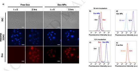 Figure From Dual Disassembly And Biological Evaluation Of Enzyme