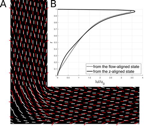 Curvature Mediated Programming Of Liquid Crystal Microflows