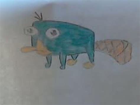 Platypus - Land Animal Adaptations