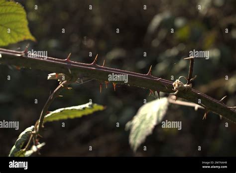 2023 hd hi-res stock photography and images - Alamy