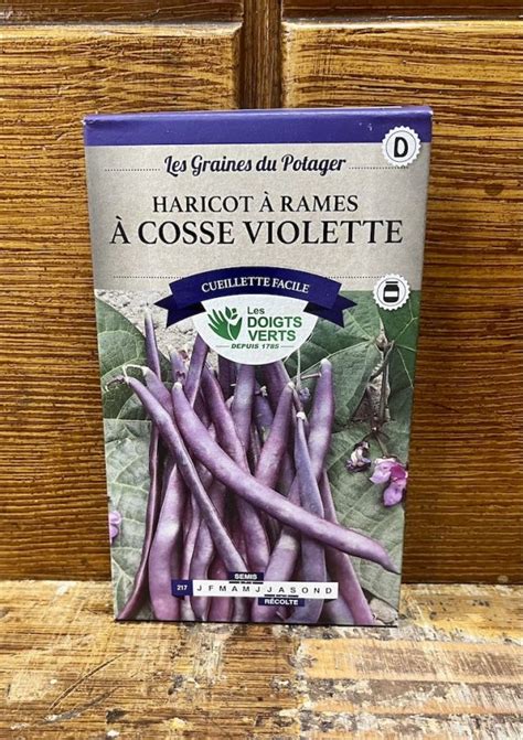 Bo Te D Haricots Rames Cosse Violette Graines Potag Res