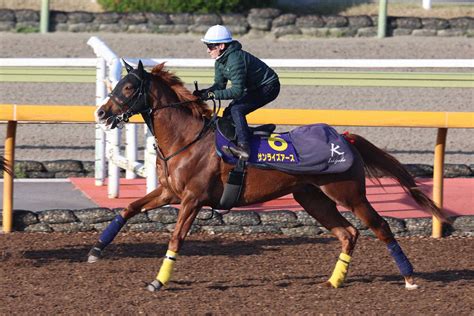 【皐月賞】サンライズアース 体締まってきた、m・デムーロ「動きは良かったよ」― スポニチ Sponichi Annex ギャンブル