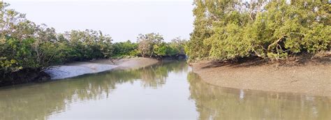 Book Cheap Best Sundarban Tour Packages Tour Guide From Kolkata