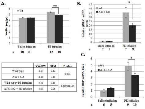 A Mice Ventricles Weight Vw Relative To Mouse Body Weight Bw Is