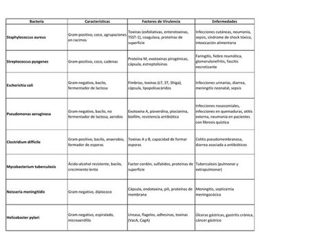 Microbiologia Bacterias Carmen Alcaraz Udocz