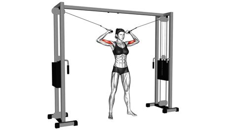 Cable Standing Inner Curl Female Video Guide And Tips