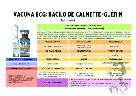 VACUNA BCG BACILO DE CALMETTE GUÉRIN Lau Maber uDocz