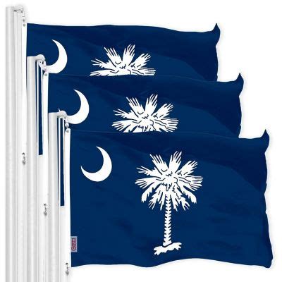 G128 - South Carolina SC State Flag 3x5FT 3 Pack 150D Printed Polyester ...