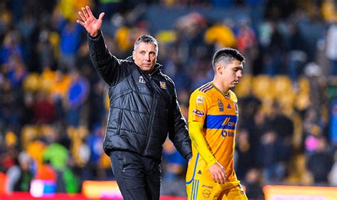 Siboldi sobre Tigres Sería un privilegio ser bicampeón ante América